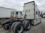 2023 Freightliner Cascadia 126  for Sale in Louisville, KY - All Over