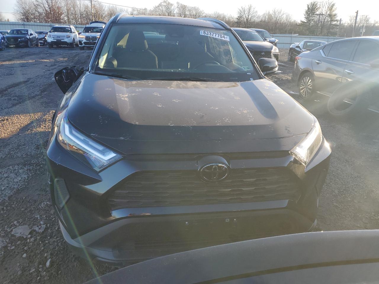 2024 Toyota RAV 4 - Image 5
