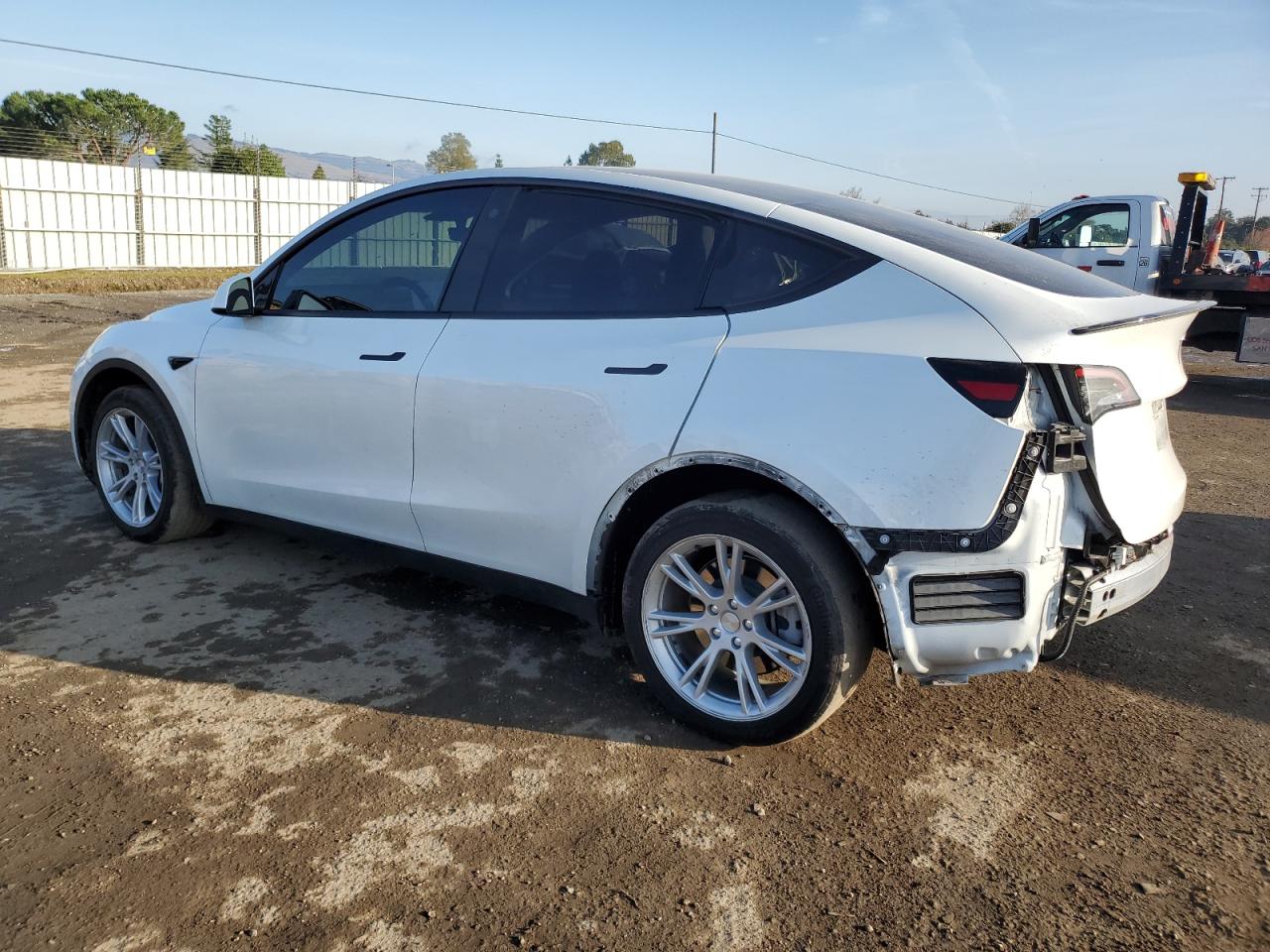 2023 Tesla Model Y VIN: 7SAYGDEE6PF687056 Lot: 85094204