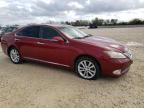 2011 Lexus Es 350 للبيع في New Braunfels، TX - Normal Wear