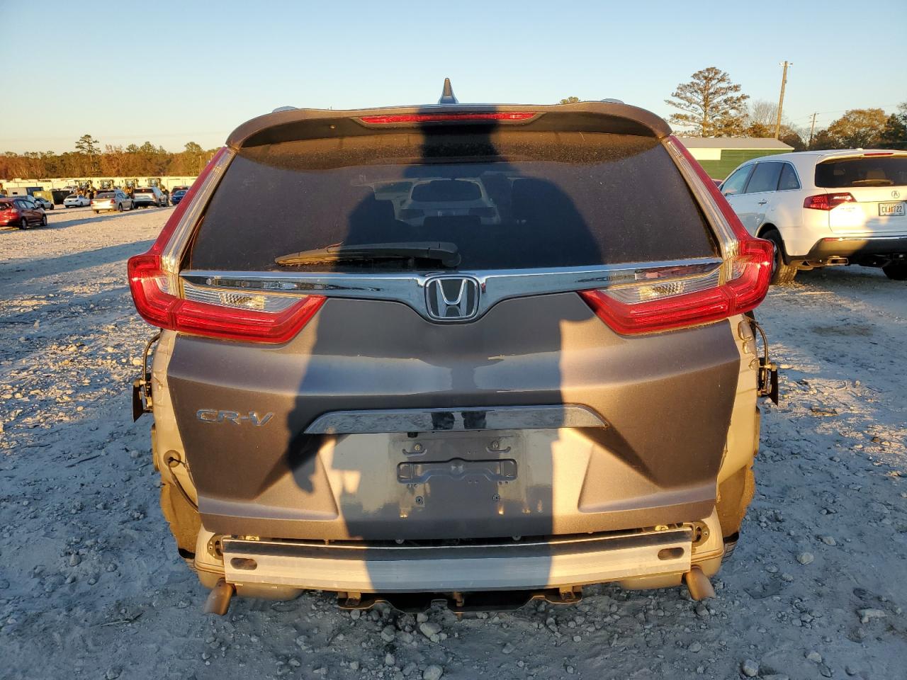 2019 Honda CR-V - Image 6