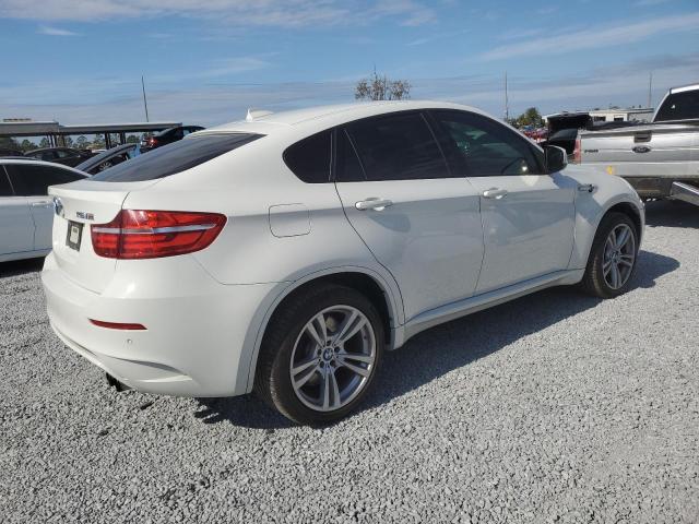  BMW X6 2013 Biały