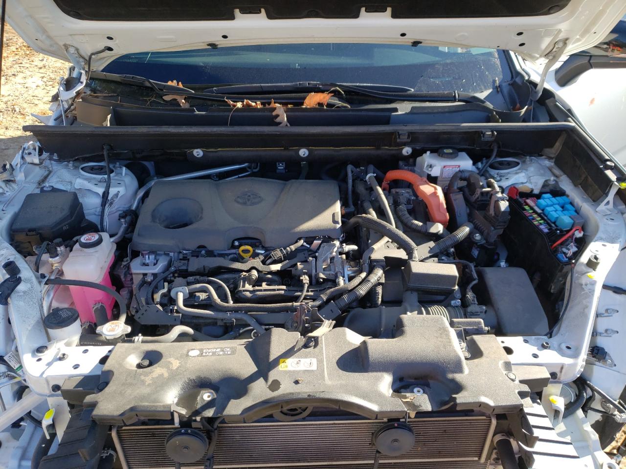 2021 Toyota Rav4 Xse VIN: JTME6RFV8MD515984 Lot: 85551854