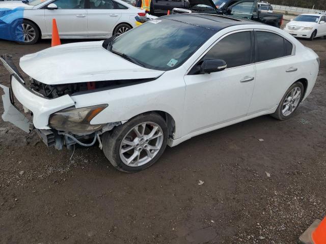 Sedans NISSAN MAXIMA 2013 White