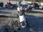2019 INDIAN MOTORCYCLE CO. CHIEFTAIN DARK HORSE for sale at Copart FL - TAMPA SOUTH