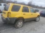 2003 Ford Escape Xlt for Sale in Prairie Grove, AR - All Over