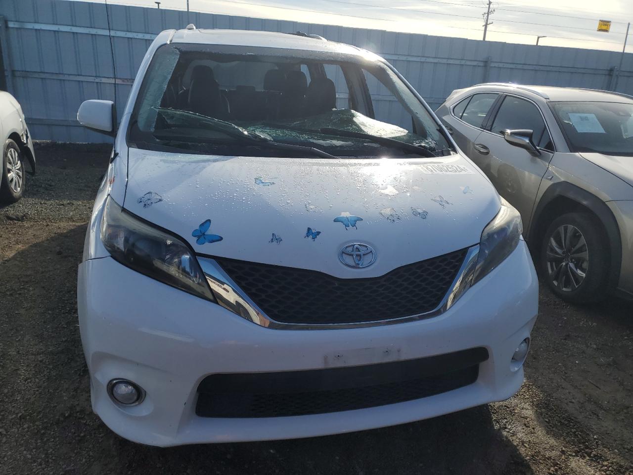 VIN 5TDXK3DC6DS297809 2013 TOYOTA SIENNA no.5