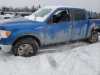 2010 FORD F150 SUPERCREW for sale at Copart QC - MONTREAL