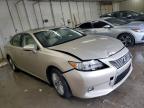 2014 Lexus Es 350 na sprzedaż w Madisonville, TN - Front End