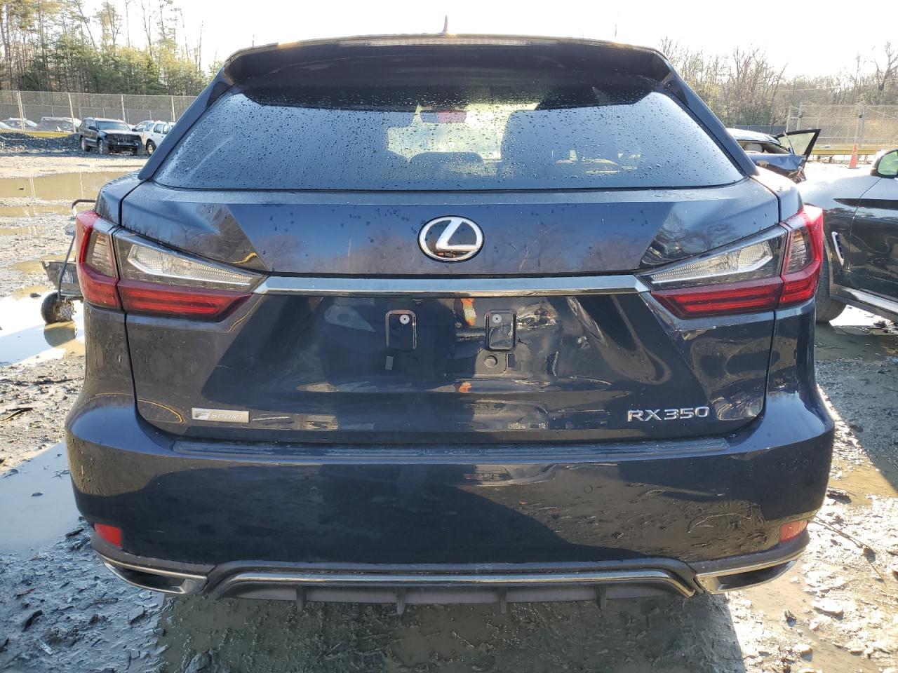 2022 Lexus RX - Image 6