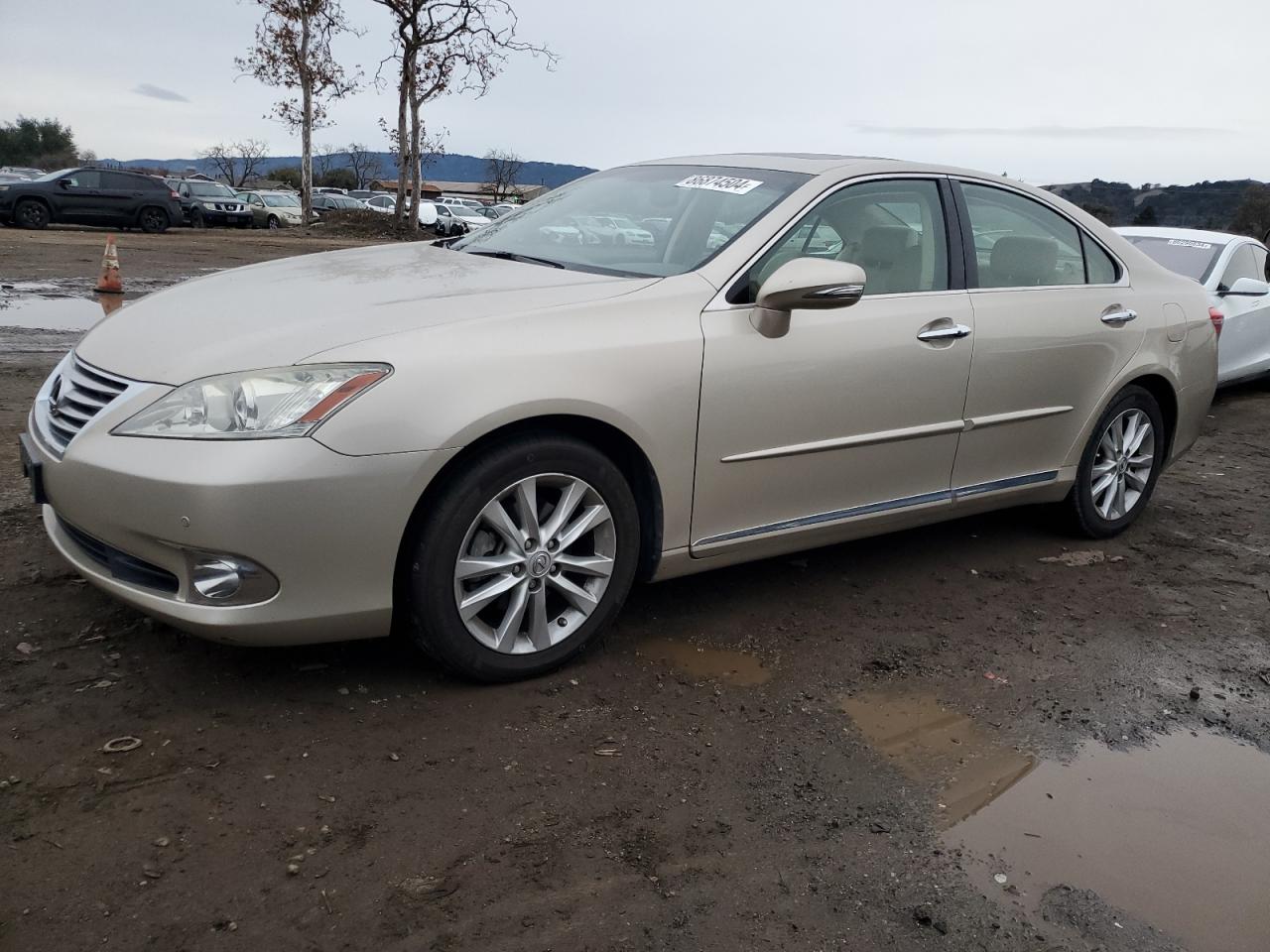 2010 Lexus ES - Image 1