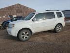 2009 Honda Pilot Exl на продаже в Rapid City, SD - Hail