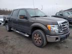2009 Ford F150 Supercrew for Sale in East Granby, CT - Minor Dent/Scratches