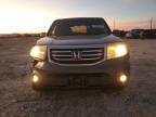 2013 Honda Pilot Exl للبيع في Haslet، TX - Front End