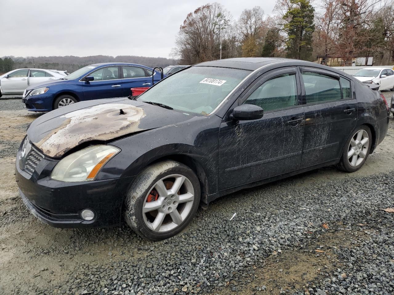 2005 Nissan Maxima - Image 1