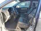 2010 Honda Cr-V Exl de vânzare în Hillsborough, NJ - Normal Wear