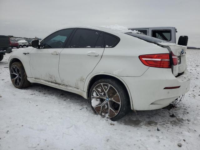  BMW X6 2014 Білий