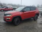 2020 Jeep Compass Trailhawk zu verkaufen in York Haven, PA - Front End