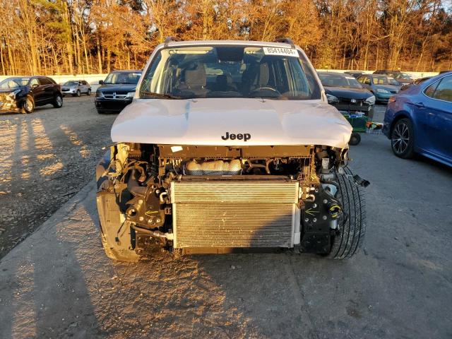  JEEP RENEGADE 2019 Silver