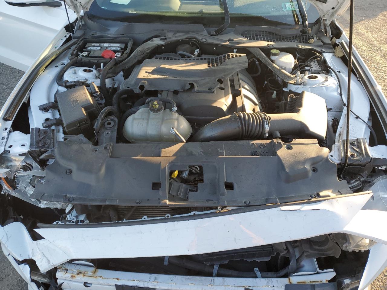 2020 Ford Mustang VIN: 1FATP8UH8L5131780 Lot: 82357484