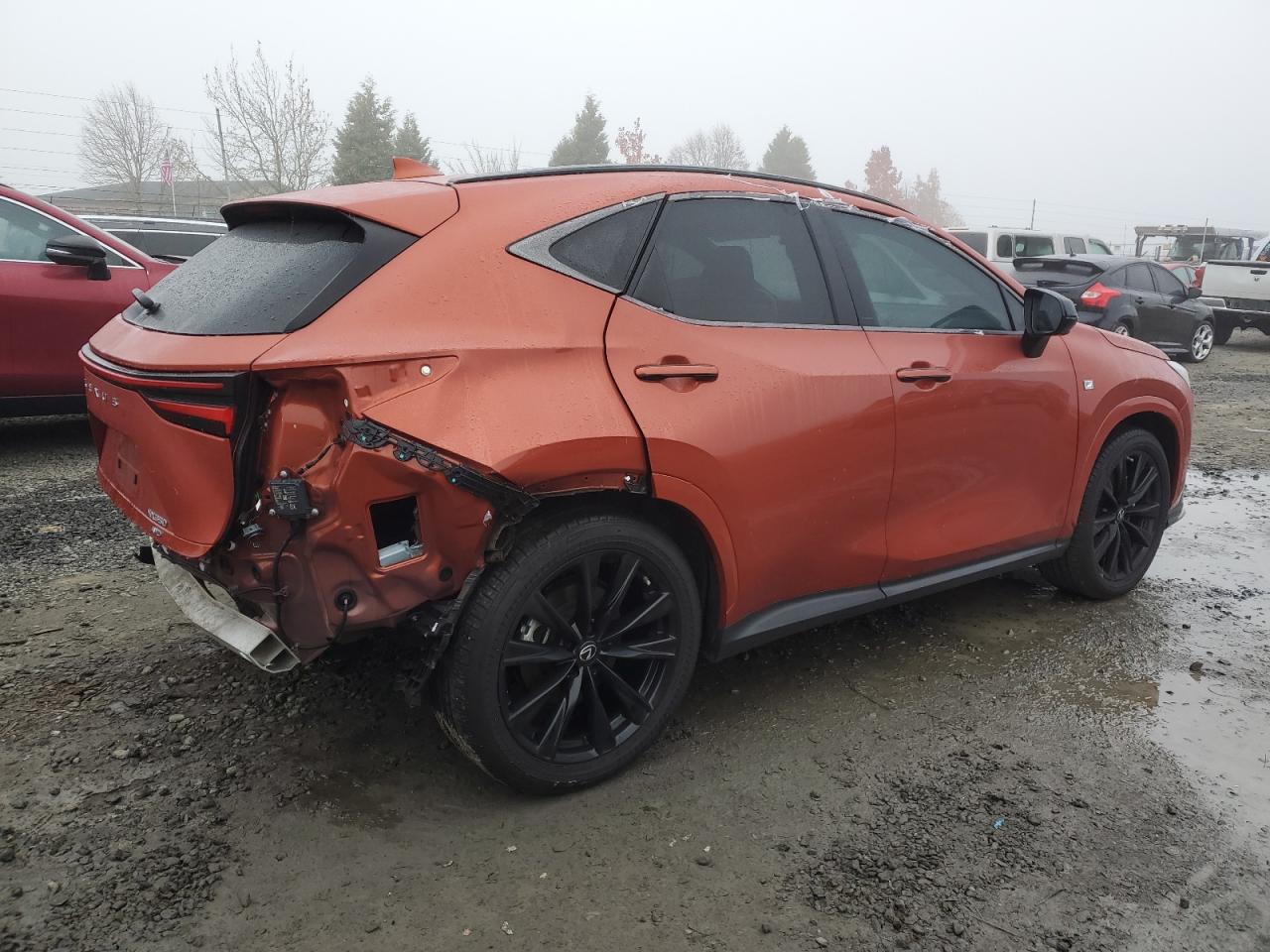 2023 Lexus NX - Image 3