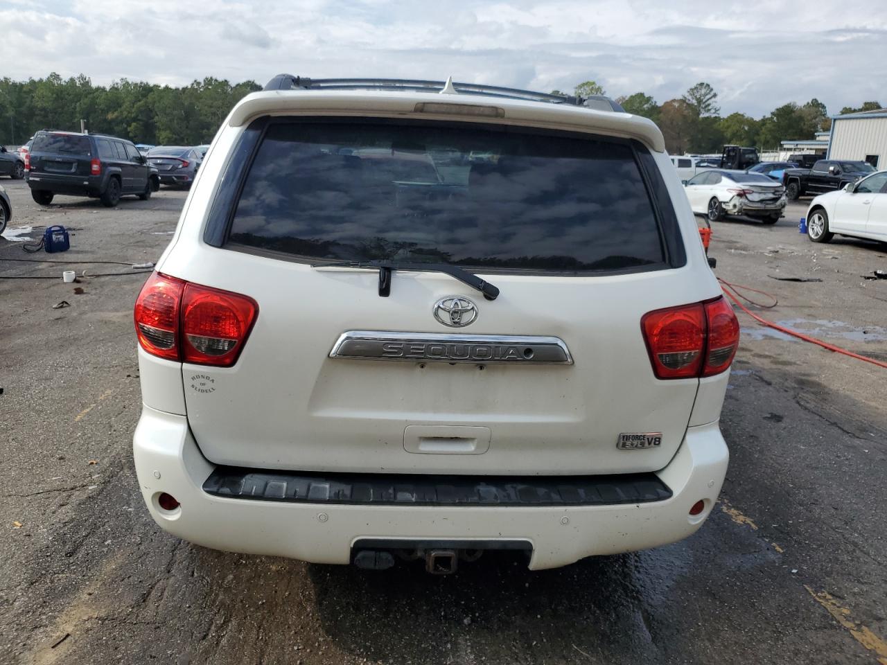 2011 Toyota Sequoia Platinum VIN: 5TDYY5G19BS031738 Lot: 84075894