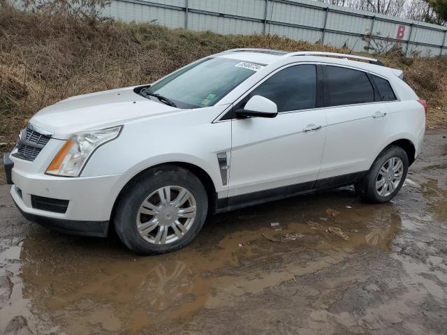 2010 Cadillac Srx Luxury Collection