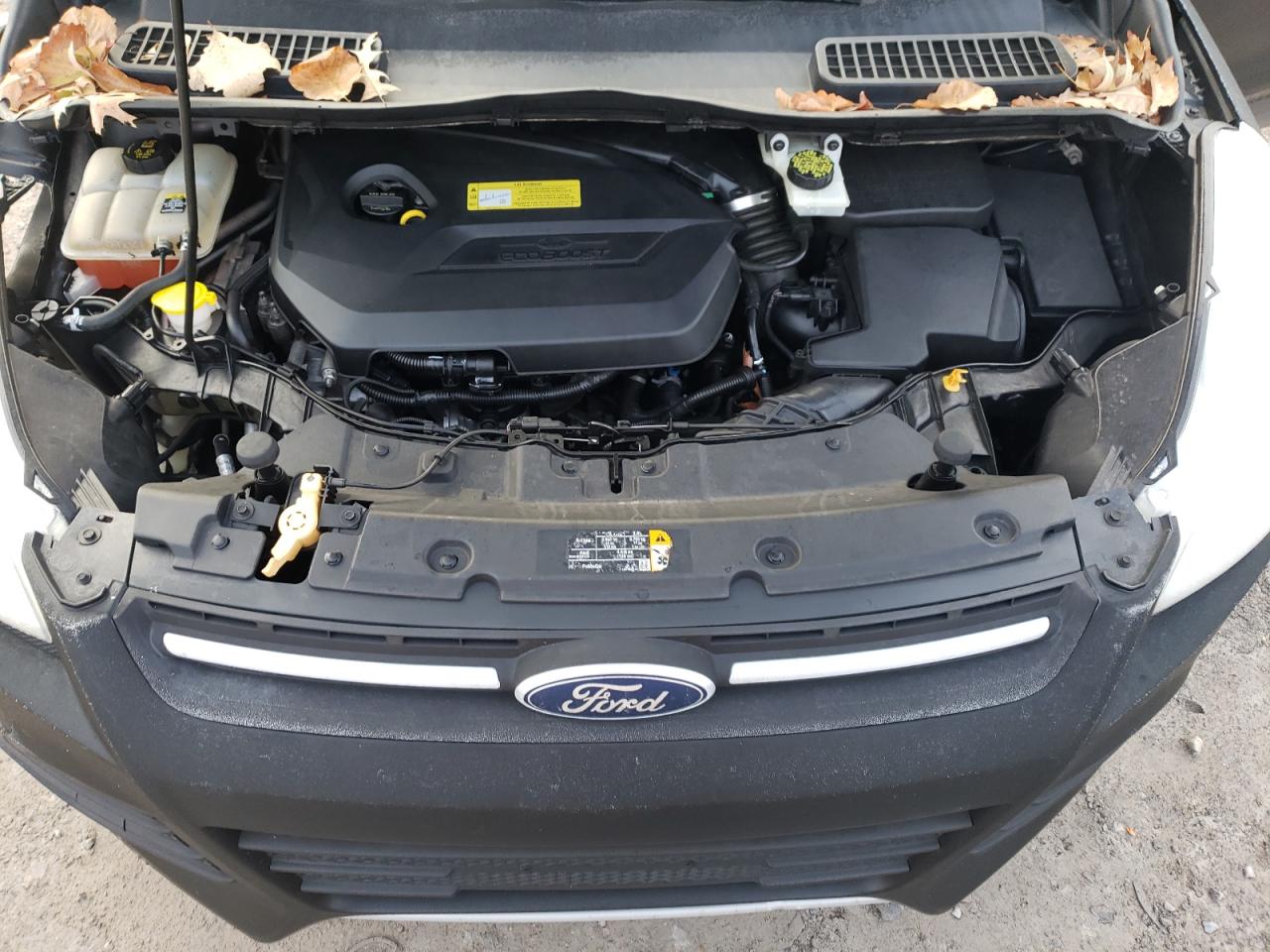 2013 Ford Escape - Image 13
