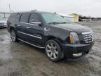 2008 Cadillac Escalade Esv للبيع في Sacramento، CA - Front End