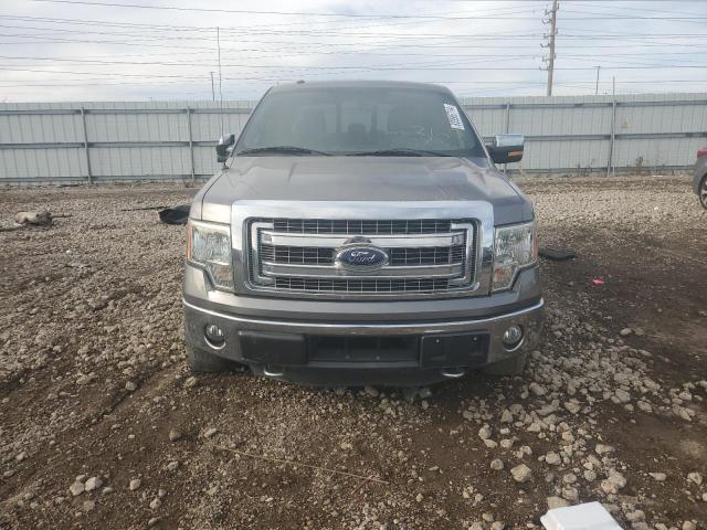  FORD F-150 2014 Szary