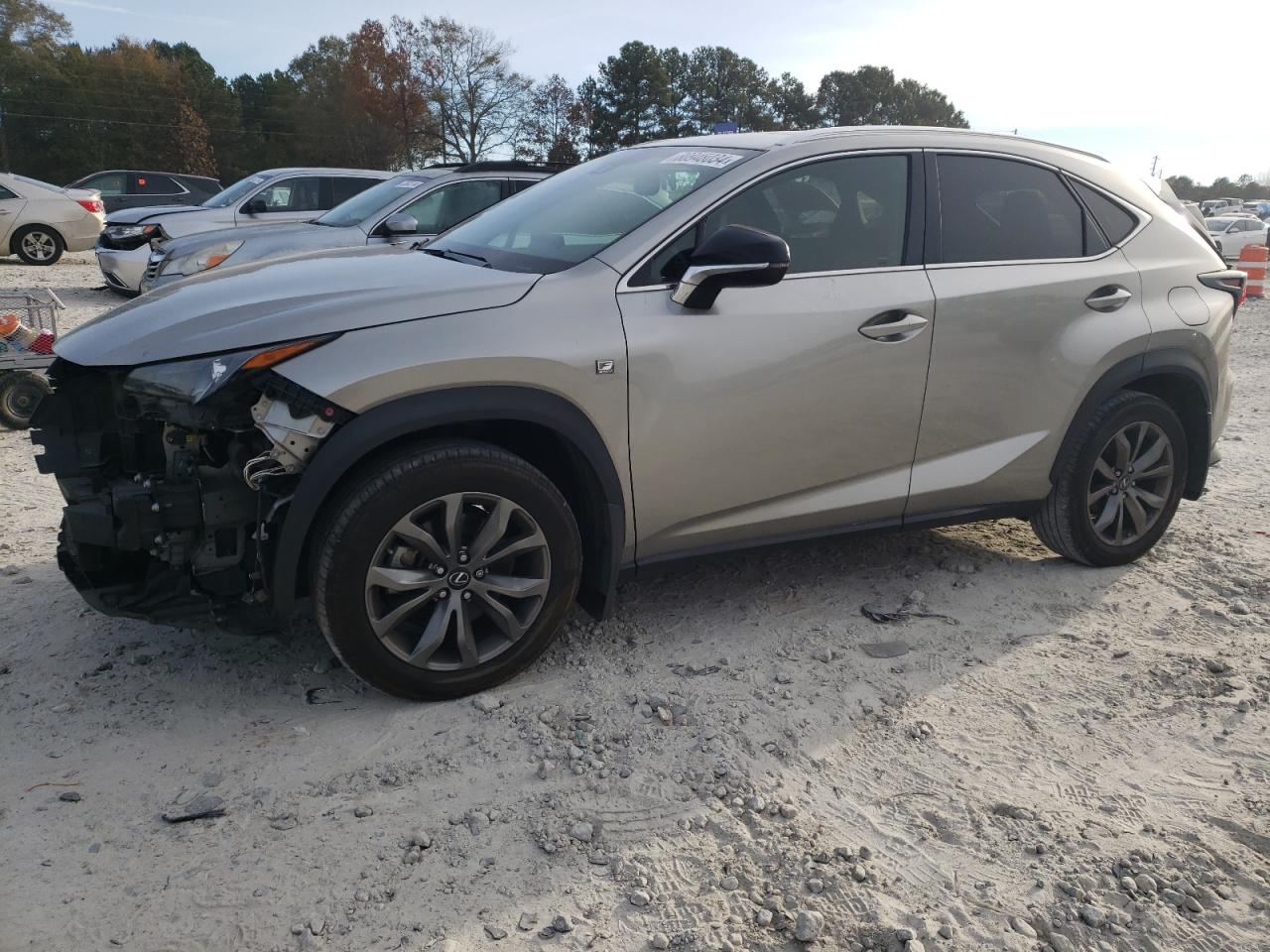 2019 Lexus NX - Image 1