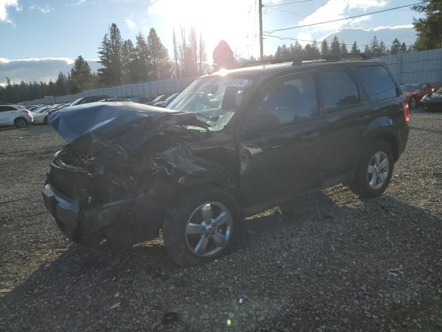 2009 Ford Escape Xlt