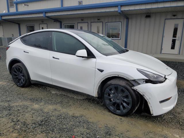  TESLA MODEL Y 2024 White