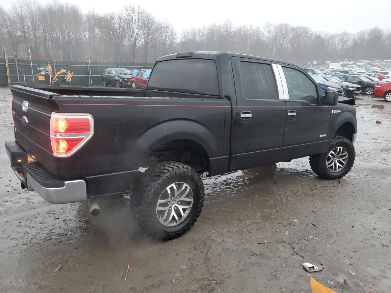 2011 Ford F-150 - Image 3