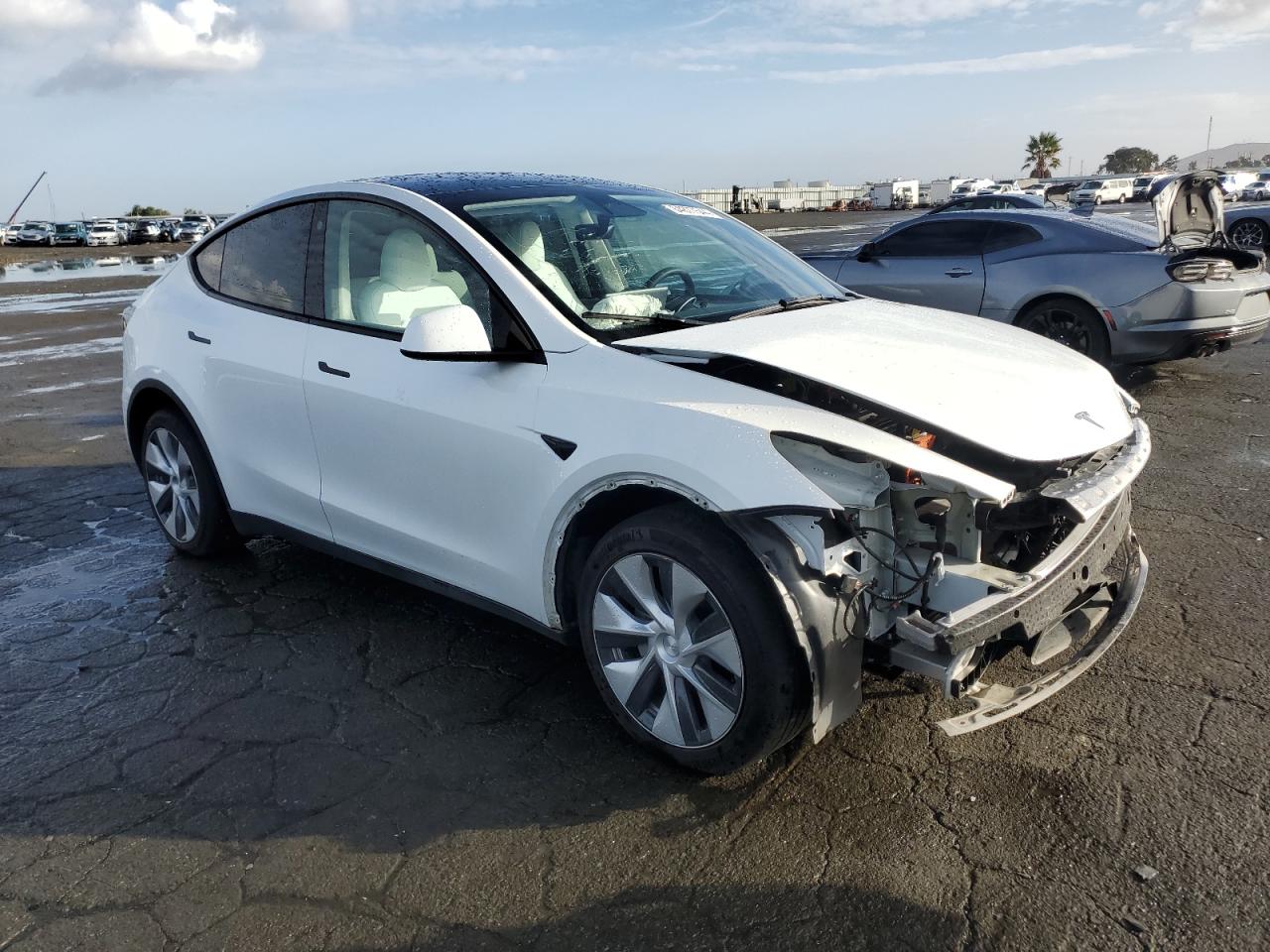 VIN 7SAYGDEE4PF695575 2023 TESLA MODEL Y no.4