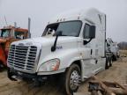 Columbia, MO에서 판매 중인 2014 Freightliner Cascadia 125  - Side