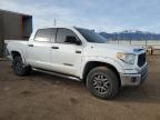 2017 Toyota Tundra Crewmax Sr5 за продажба в Colorado Springs, CO - Rear End