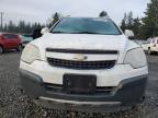 2013 Chevrolet Captiva Ls na sprzedaż w Graham, WA - Minor Dent/Scratches