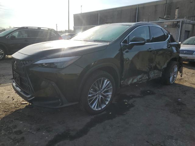  LEXUS NX 350H 2023 Зеленый