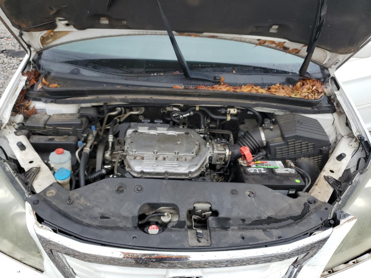 2010 Honda Odyssey - Image 13