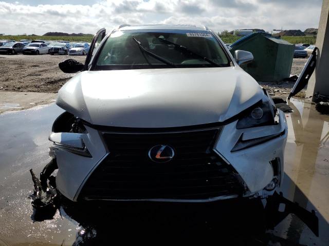  LEXUS NX 2019 White