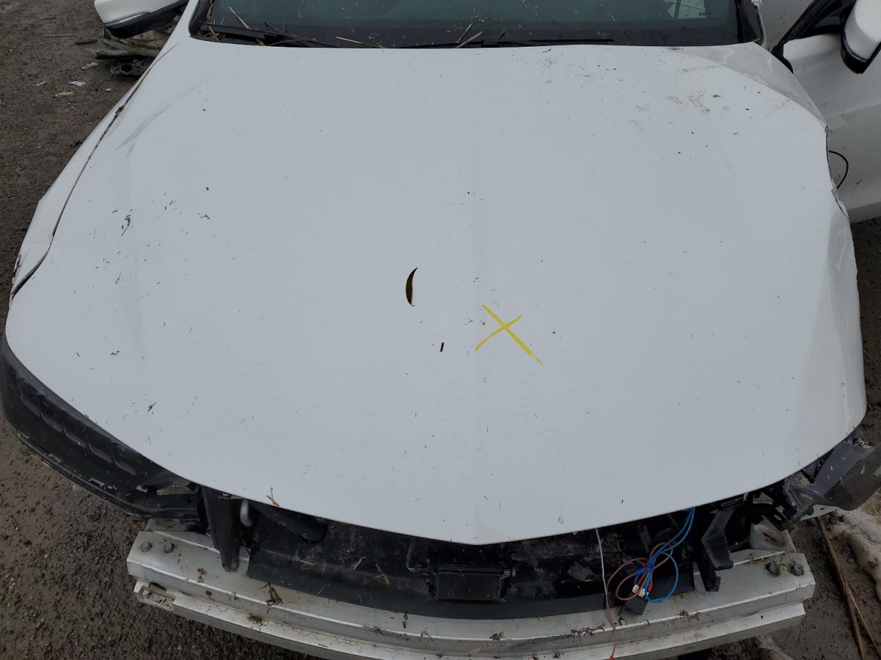 2020 Acura Tlx Technology VIN: 19UUB1F6XLA800205 Lot: 85103525