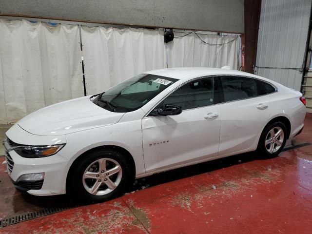  CHEVROLET MALIBU 2023 White