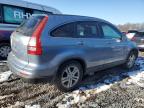 2010 Honda Cr-V Exl de vânzare în Hillsborough, NJ - Normal Wear