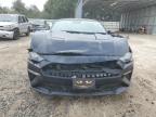 2021 Ford Mustang  for Sale in Midway, FL - Front End