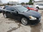 2009 Nissan Maxima S продається в Lexington, KY - Top/Roof