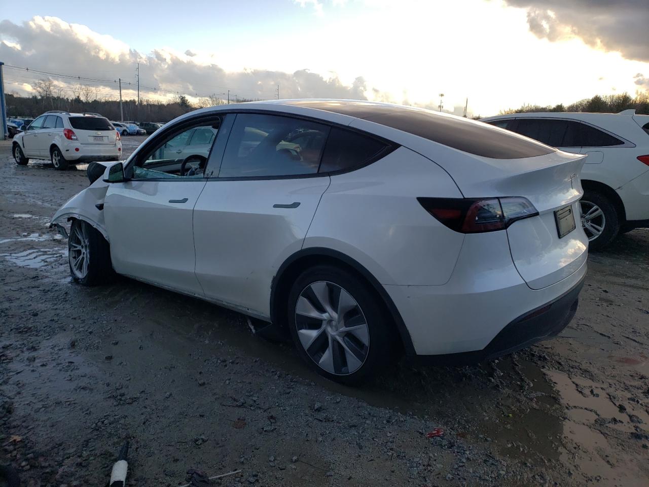 VIN 7SAYGDEE7PA141881 2023 TESLA MODEL Y no.2