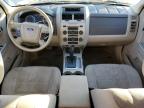 2010 Ford Escape Xlt en Venta en Tifton, GA - Minor Dent/Scratches