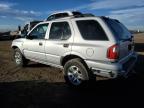 2003 Isuzu Rodeo S للبيع في Brighton، CO - Front End