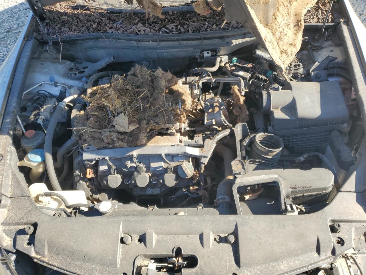 2009 Honda Accord Exl VIN: 1HGCP368X9A026167 Lot: 69304585